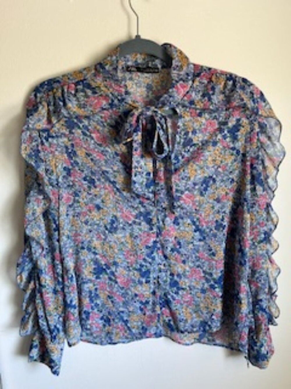 🧡3/15 Zara Floral Blue Yellow Pink Sheer Long Sleeve Blouse Ruffles Women's S